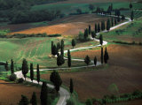 Tuscany Winding Road Prints by Roger Antrobus