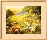 Evening Sun Poster by Mary Dipnall