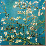Almond Branches in Bloom, 1890 Stretched Canvas Print by Vincent van Gogh