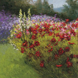 Cosmos Garden I Art by Shirley Novak