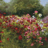 Cosmos Garden II Posters by Shirley Novak