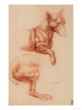 Study of a Pomeranian Dog, Drawing, Royal Library, Windsor reproduction procédé giclée par Leonardo da Vinci 