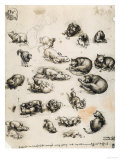 Cats, Lions and Dragons, Drawing, Royal Library, Windsor Giclée-tryk af Leonardo da Vinci Cats, Lions and Dragons, Drawing, Royal Library, Windsor Giclée-tryk af Leonardo da Vinci