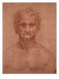 Head of an Old Man, Drawing, Royal Library, Windsor Giclee Print by Leonardo da Vinci 