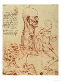 Study of the Human Features and a Knight, Galleries of the Academy, Venice reproduction procédé giclée par Leonardo da Vinci 