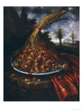 Still Life with Dates, Palatine Gallery, Florence reproduction procédé giclée par Bartolomeo Bimbi