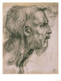 Drawing with Male Profile, in the Uffizi Gallery, in the Gabinetto Dei Disegni E Delle Stampea reproduction procédé giclée par Andrea del Sarto 