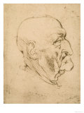 Profile of a Bald Man, Pen Drawing on White Yellowed Paper, Biblioteca Ambrosiana, Milan reproduction procédé giclée par Leonardo da Vinci 