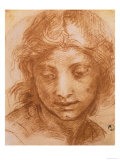Head of a Young Woman, Drawing by Andrea Del Sarto, Uffizi Gallery, Florence reproduction procédé giclée par Andrea del Sarto 
