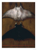 Rays, Palatine Gallery, Florence Giclée-Druck