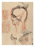 Head Section with the Anatomy of the Eye, Drawing, Royal Library, Windsor Giclee Print by Leonardo da Vinci 