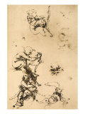 Some Studies for the Madonna with the Cat Pen Drawing on White Paper Reproduction procédé giclée par Leonardo da Vinci 