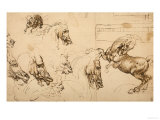 Rearing Horse and Study of Horse, Lion and Human Heads, Drawing, Royal Library, Windsor Giclee Print by Leonardo da Vinci 