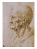Head of a Man Seen in Profile reproduction procédé giclée par Leonardo da Vinci 