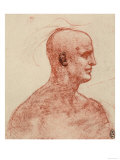 Profile of a Male Portrait Lámina giclée por Leonardo da Vinci Profile of a Male Portrait Lámina giclée por Leonardo da Vinci