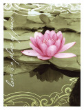 Love Lilly Poster