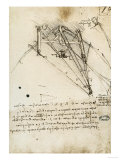 The Rudder of a Wing, Institut De France, Paris Reproduction procédé giclée par Leonardo da Vinci 