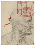 Study of a Male Profile, Black and Sanguine Pencil Drawing on Gray Paper, Royal Library, Windsor reproduction procédé giclée par Leonardo da Vinci 