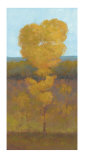 Solitary Tree II Limited Edition by Kim Coulter