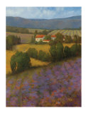 June Lavendar Limited Edition by Kim Coulter