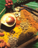 Spices Art by Bruno Morandi