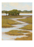Silver Stream I Limited Edition by Kim Coulter