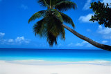 Seychelles Plakater af Mark Karrass Seychelles Plakater af Mark Karrass