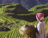 Zhuang Girl with Rice Terraces Posters by Keren Su