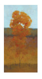 Solitary Tree III Limited Edition by Kim Coulter