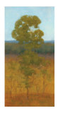Solitary Tree I Limited Edition by Kim Coulter