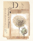 Dahlia Print by Gouny 