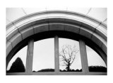 Biltmore Edition limitée par Michael Joseph