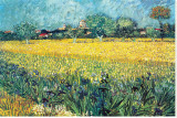View of Arles with Irises Stretched Canvas Print by Vincent van Gogh
