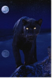Black Panther in Moonlight Reproducción en lienzo de la lámina Black Panther in Moonlight Reproducción en lienzo de la lámina