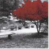 Quiet Moments Stretched Canvas Print