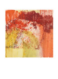 Nature Revisited VI Limited Edition by Sylvia Angeli