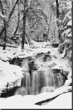 Country Stream in Winter, Michigan Stretched Canvas Print Country Stream in Winter, Michigan Stretched Canvas Print