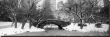 Bridge Stone in Central Park Stretched Canvas Print