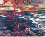 The Red Maple Stretched Canvas Print by A. Y. Jackson