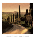 Country Lane, Tuscany Affiches par Elizabeth Carmel