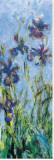 Irises (detail) Stretched Canvas Print by Claude Monet