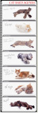 Cat Daily Agenda Poster