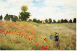 Poppies Stretched Canvas Print by Claude Monet
