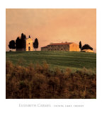 Evening Light, Tuscany Prints by Elizabeth Carmel