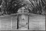 Oak Alley Plantation, Louisiana Lærredstryk på blindramme Oak Alley Plantation, Louisiana Lærredstryk på blindramme