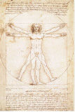 Vitruvius Man Stretched Canvas Print by Leonardo da Vinci 