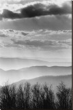 Shenandoah National Park, Virginia Stretched Canvas Print