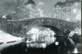 Winter in Central Park Posters Winter in Central Park Posters