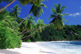 Ilha de Mahé, Seychelles Pôsters por José Fuste Raga