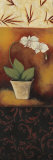 Orchid Poem Prints by Rita Vindedzis